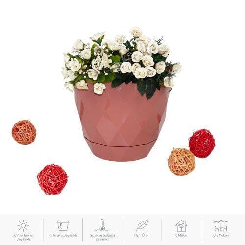 4 No Yakamoz Saksı Tk K454